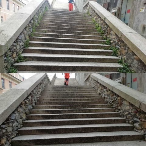 scalinata Santa Maria in via Lata 1